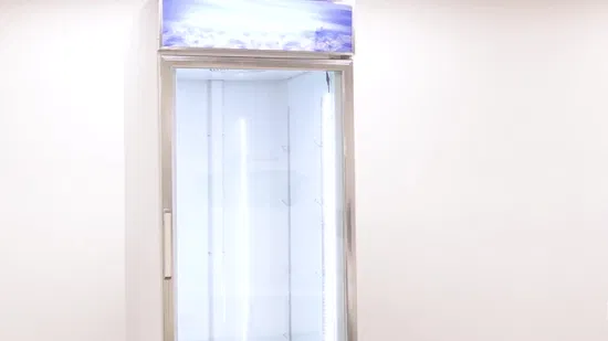 Equipo de refrigeración del escaparate de la fruta de la exhibición del coque del supermercado de Smeta 220V 330L